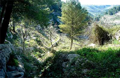 Catacombs of Cava Celone